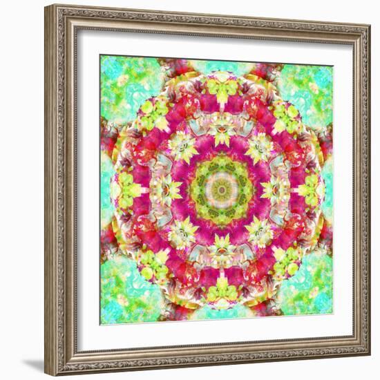 Mandala Ornament from Flower Photographs-Alaya Gadeh-Framed Photographic Print