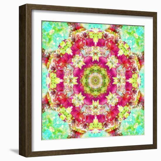 Mandala Ornament from Flower Photographs-Alaya Gadeh-Framed Photographic Print