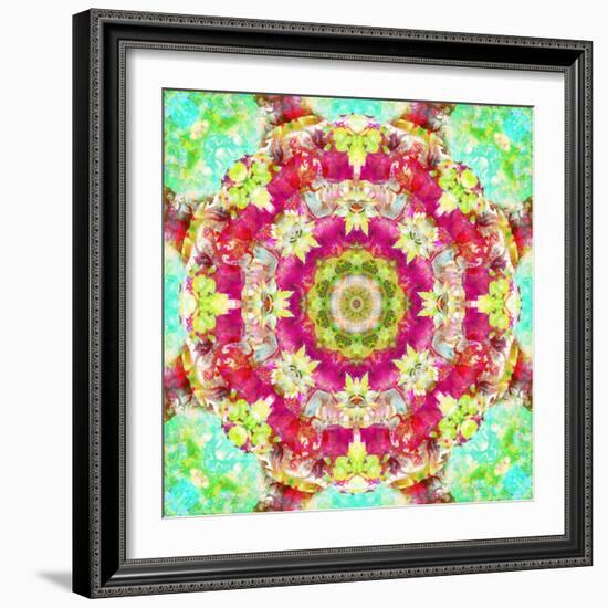 Mandala Ornament from Flower Photographs-Alaya Gadeh-Framed Photographic Print