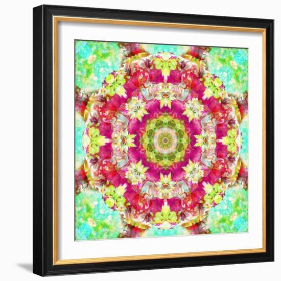 Mandala Ornament from Flower Photographs-Alaya Gadeh-Framed Photographic Print