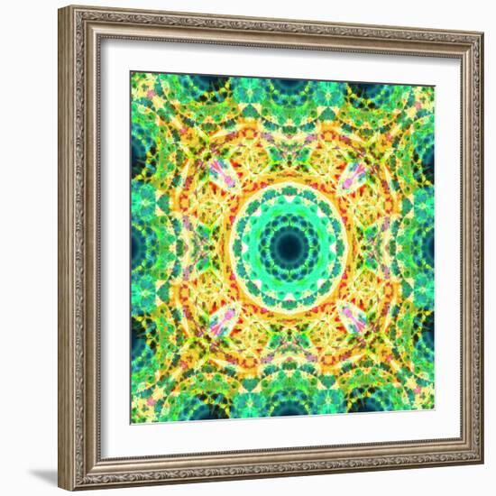 Mandala Ornament from Flowers-Alaya Gadeh-Framed Photographic Print