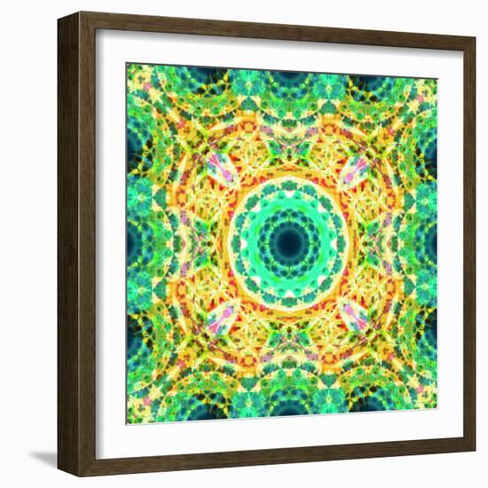 Mandala Ornament from Flowers-Alaya Gadeh-Framed Photographic Print