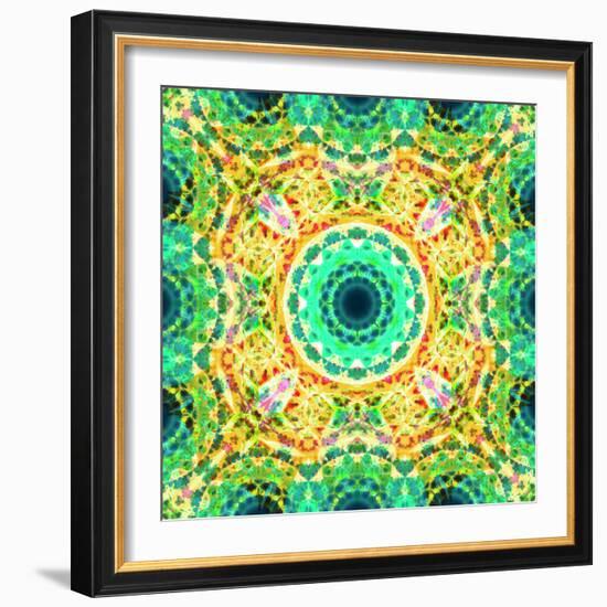 Mandala Ornament from Flowers-Alaya Gadeh-Framed Photographic Print