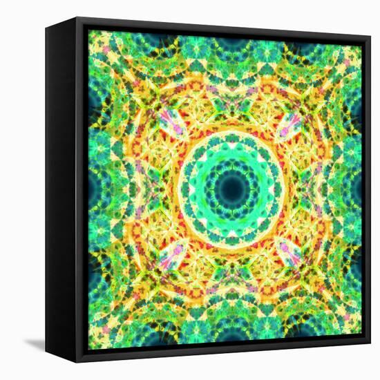 Mandala Ornament from Flowers-Alaya Gadeh-Framed Premier Image Canvas