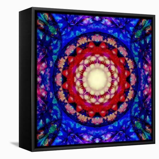 Mandala Ornament from Flowers-Alaya Gadeh-Framed Premier Image Canvas