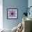 Mandala Ornament from Poeny Blossoms-Alaya Gadeh-Framed Photographic Print displayed on a wall