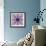 Mandala Ornament from Poeny Blossoms-Alaya Gadeh-Framed Photographic Print displayed on a wall