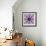 Mandala Ornament from Poeny Blossoms-Alaya Gadeh-Framed Photographic Print displayed on a wall