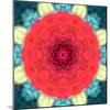 Mandala Ornament from Red Blooming Flowers, Conceptual Photographic Layer Work-Alaya Gadeh-Mounted Photographic Print