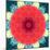 Mandala Ornament from Red Blooming Flowers, Conceptual Photographic Layer Work-Alaya Gadeh-Mounted Photographic Print