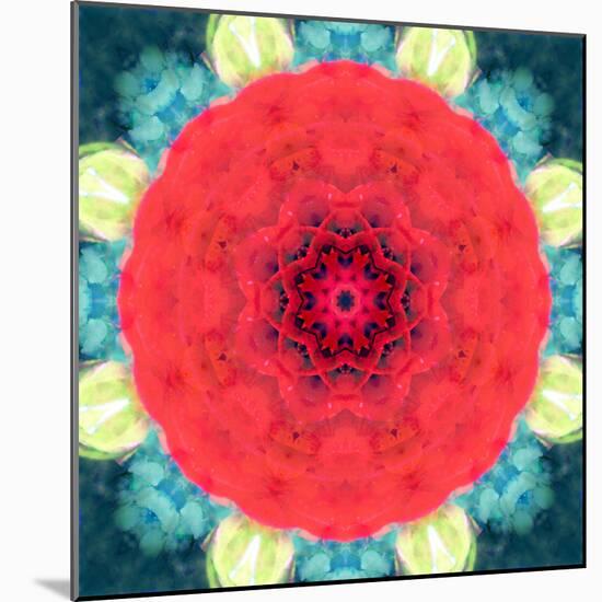 Mandala Ornament from Red Blooming Flowers, Conceptual Photographic Layer Work-Alaya Gadeh-Mounted Photographic Print