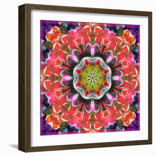 Mandala Ornament from Red Blooming Orchids, Conceptual Photographic Layer Work-Alaya Gadeh-Framed Photographic Print