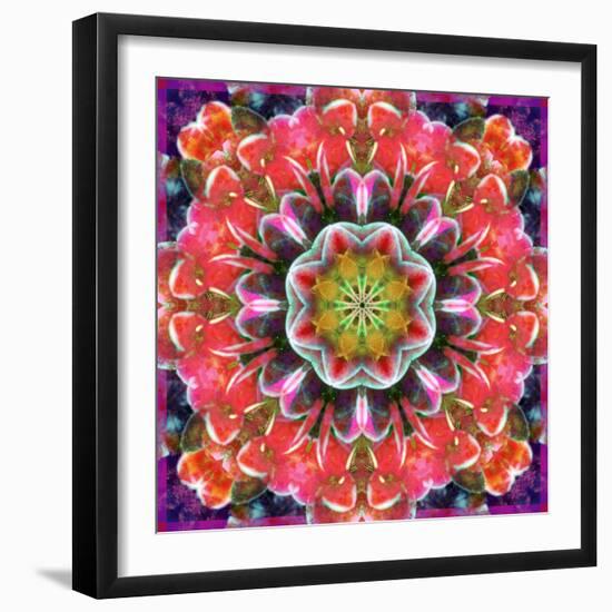 Mandala Ornament from Red Blooming Orchids, Conceptual Photographic Layer Work-Alaya Gadeh-Framed Photographic Print