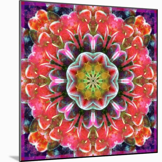 Mandala Ornament from Red Blooming Orchids, Conceptual Photographic Layer Work-Alaya Gadeh-Mounted Photographic Print