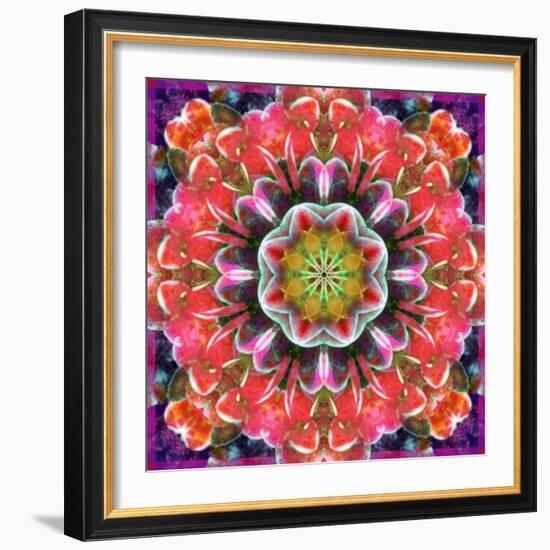 Mandala Ornament from Red Blooming Orchids, Conceptual Photographic Layer Work-Alaya Gadeh-Framed Photographic Print