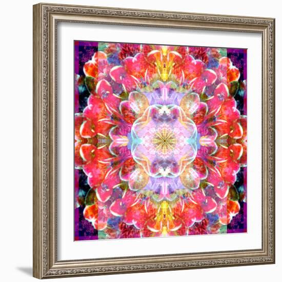 Mandala Ornament from Red Blooming Orchids, Conceptual Photographic Layer Work-Alaya Gadeh-Framed Photographic Print