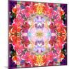 Mandala Ornament from Red Blooming Orchids, Conceptual Photographic Layer Work-Alaya Gadeh-Mounted Photographic Print