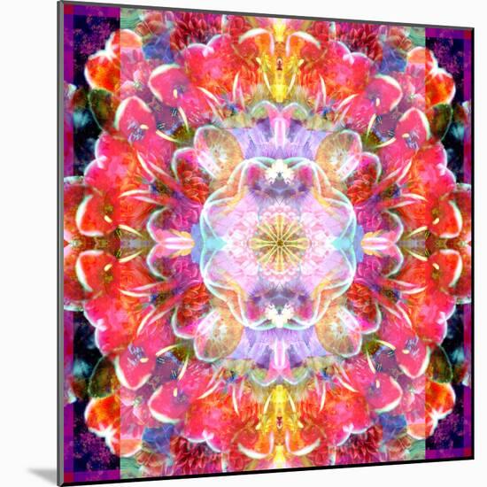 Mandala Ornament from Red Blooming Orchids, Conceptual Photographic Layer Work-Alaya Gadeh-Mounted Photographic Print