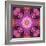 Mandala Ornament from Red Blooming Orchids, Conceptual Photographic Layer Work-Alaya Gadeh-Framed Photographic Print