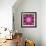 Mandala Ornament from Red Blooming Orchids, Conceptual Photographic Layer Work-Alaya Gadeh-Framed Photographic Print displayed on a wall