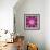 Mandala Ornament from Red Blooming Orchids, Conceptual Photographic Layer Work-Alaya Gadeh-Framed Photographic Print displayed on a wall