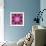 Mandala Ornament from Red Blooming Orchids, Conceptual Photographic Layer Work-Alaya Gadeh-Framed Photographic Print displayed on a wall