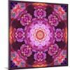 Mandala Ornament from Red Blooming Orchids, Conceptual Photographic Layer Work-Alaya Gadeh-Mounted Photographic Print