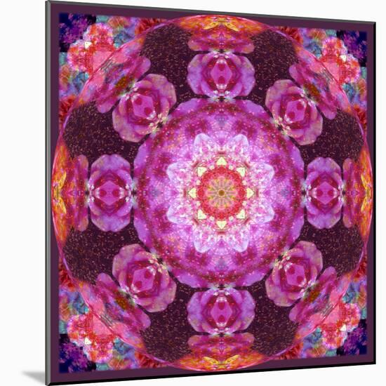 Mandala Ornament from Red Blooming Orchids, Conceptual Photographic Layer Work-Alaya Gadeh-Mounted Photographic Print