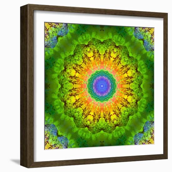 Mandala Ornament of Flowers, Composing-Alaya Gadeh-Framed Photographic Print