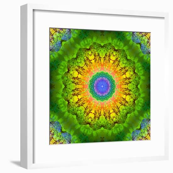 Mandala Ornament of Flowers, Composing-Alaya Gadeh-Framed Photographic Print