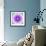 Mandala Ornament of Flowers, Composing-Alaya Gadeh-Framed Photographic Print displayed on a wall