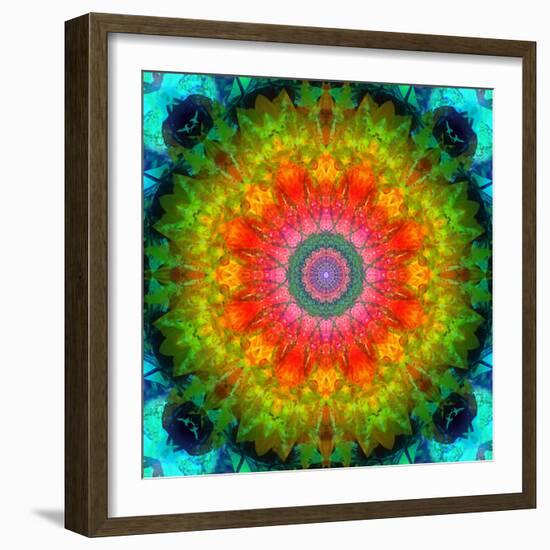 Mandala Ornament of Flowers, Composing-Alaya Gadeh-Framed Photographic Print