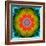 Mandala Ornament of Flowers, Composing-Alaya Gadeh-Framed Photographic Print