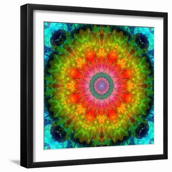 Mandala Ornament of Flowers, Composing-Alaya Gadeh-Framed Photographic Print