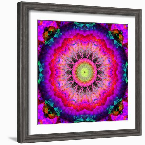 Mandala Ornament of Flowers, Composing-Alaya Gadeh-Framed Photographic Print