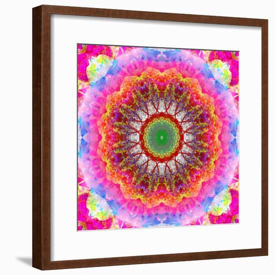 Mandala Ornament of Flowers, Composing-Alaya Gadeh-Framed Photographic Print