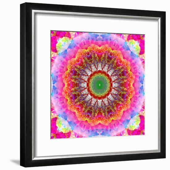 Mandala Ornament of Flowers, Composing-Alaya Gadeh-Framed Photographic Print