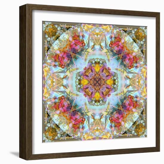 Mandala, Symmetrical Arrangement of Natural Materials-Alaya Gadeh-Framed Photographic Print