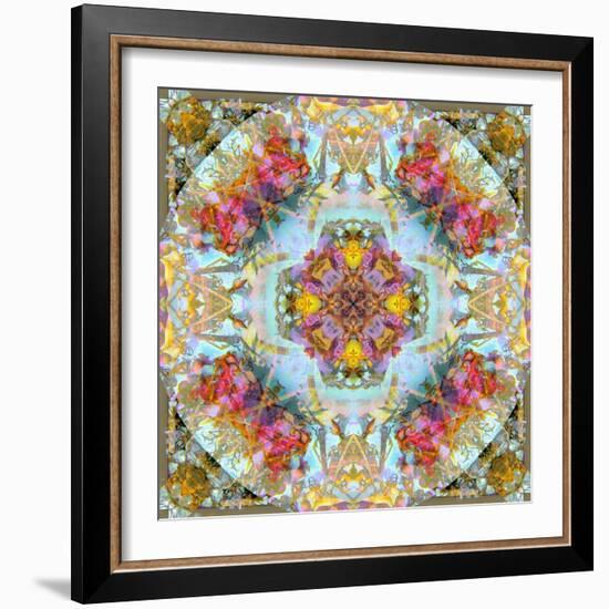 Mandala, Symmetrical Arrangement of Natural Materials-Alaya Gadeh-Framed Photographic Print