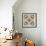 Mandala, Symmetrical Arrangement of Natural Materials-Alaya Gadeh-Framed Photographic Print displayed on a wall