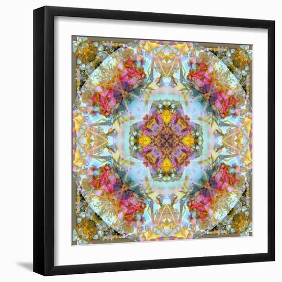 Mandala, Symmetrical Arrangement of Natural Materials-Alaya Gadeh-Framed Photographic Print