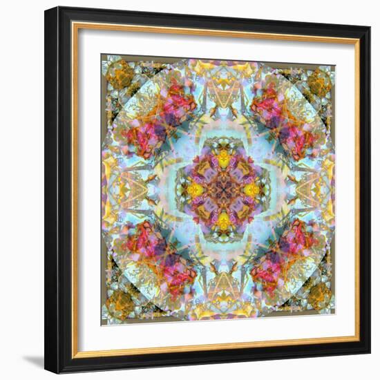 Mandala, Symmetrical Arrangement of Natural Materials-Alaya Gadeh-Framed Photographic Print