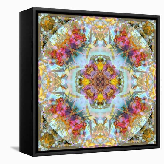 Mandala, Symmetrical Arrangement of Natural Materials-Alaya Gadeh-Framed Premier Image Canvas