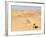 Mandara Area, Southwest Desert, Libya, North Africa, Africa-Nico Tondini-Framed Photographic Print