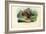 Mandarin Duck, 1863-79-Raimundo Petraroja-Framed Giclee Print