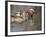 Mandarin Duck, Beijing, China-Alice Garland-Framed Photographic Print