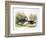 Mandarin Duck II-Henry Jones-Framed Premium Giclee Print