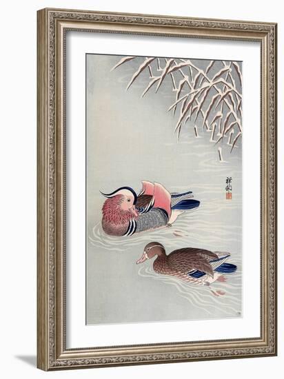 Mandarin Ducks in Snow-Koson Ohara-Framed Giclee Print