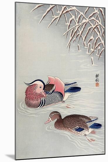 Mandarin Ducks in Snow-Koson Ohara-Mounted Giclee Print