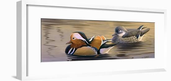 Mandarin Ducks-Wilhelm Goebel-Framed Giclee Print